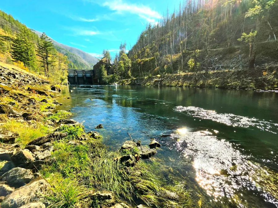 The North Santiam River below a dam at one of the project's field sampling sites, with clear water over river rock